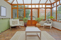 free Darrow Green conservatory quotes